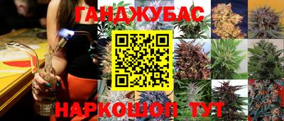 ешки Аргун