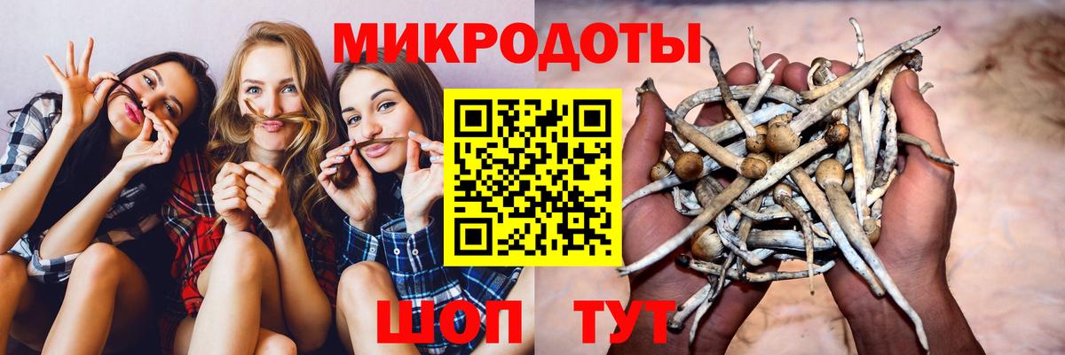 Псилоцибиновые грибы Psilocybine cubensis  Вход с VPN  Бердск 